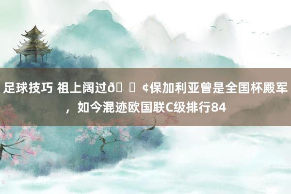 足球技巧 祖上阔过😢保加利亚曾是全国杯殿军，如今混迹欧国联C级排行84