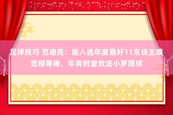 足球技巧 范迪克：能入选年度最好11东谈主嗅觉相等棒，年青时曾效法小罗踢球