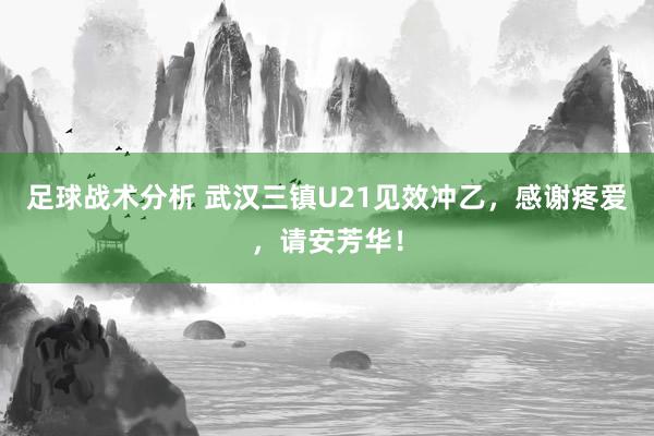 足球战术分析 武汉三镇U21见效冲乙，感谢疼爱，请安芳华！