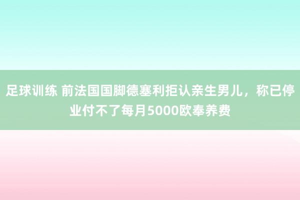 足球训练 前法国国脚德塞利拒认亲生男儿，称已停业付不了每月5000欧奉养费