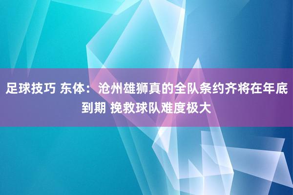 足球技巧 东体：沧州雄狮真的全队条约齐将在年底到期 挽救球队难度极大