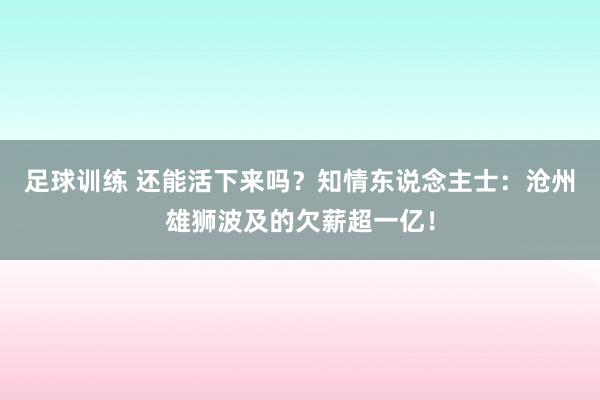 足球训练 还能活下来吗？知情东说念主士：沧州雄狮波及的欠薪超一亿！