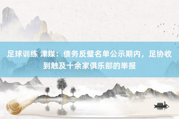 足球训练 津媒：债务反璧名单公示期内，足协收到触及十余家俱乐部的举报