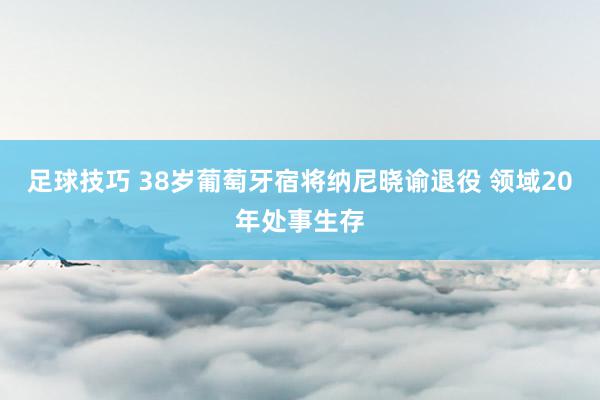 足球技巧 38岁葡萄牙宿将纳尼晓谕退役 领域20年处事生存