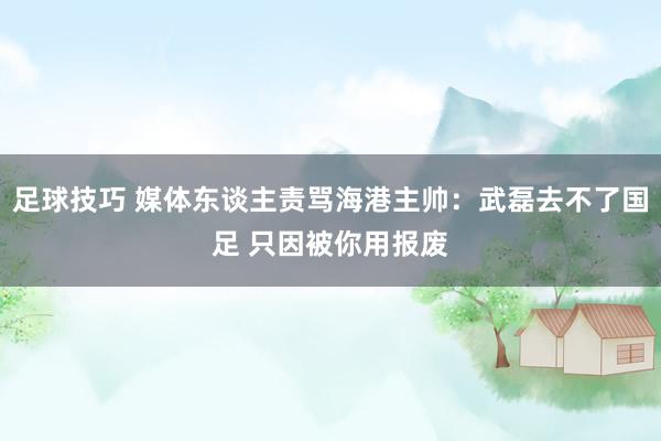 足球技巧 媒体东谈主责骂海港主帅：武磊去不了国足 只因被你用报废